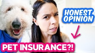 Pet Insurance 👉 Is it REALLY worth it 🤔 Heres the sad truth [upl. by Stier]