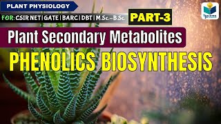 PLANTS SECONDARY METABOLITESPART3  PHENOLICS BIOSYNTHESIS CSIR NET [upl. by Morril737]