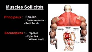 Exercice musculation Épaules  quot Oiseau haltères quot [upl. by Laitselec665]