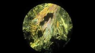 Tremolite and Actinolite in polarizing microscope [upl. by Beeson]