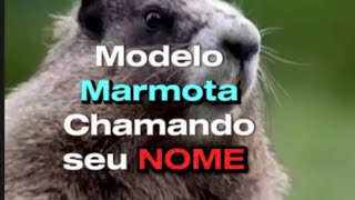 TUTORIAL CAPCUT  MODELO MARMOTA CHAMANDO SEU NOME [upl. by Fredia178]