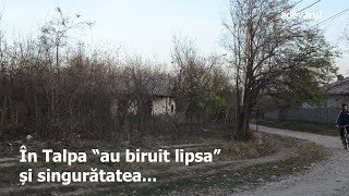 Stere Gulea quotŢara asta nu are decât o problemă să scape unul de puşcăriequot [upl. by Tolland659]