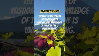 Proverbs 910 NIV‬ bibelverse biblereading faith hope shortsvideo [upl. by Nesnah782]