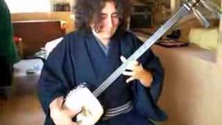 Mozart Symphony no25 on Japanese Shamisen [upl. by Ynohtnacram481]