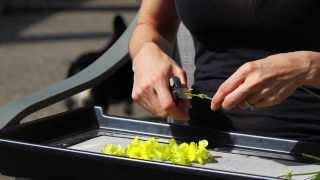 Trimming Trays for Flowers in Garden  Pollen Collecting Trim Tray  Essentail Oil Harvesting Trays [upl. by Adrian829]