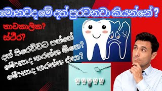 දත් පිරවීම් ගැන සරලව  About teeth fillings  පිරෙව්වට පස්සේ පරිස්සම් වෙන්නේ මෙහෙමයි  Dental talk [upl. by Aciemaj]