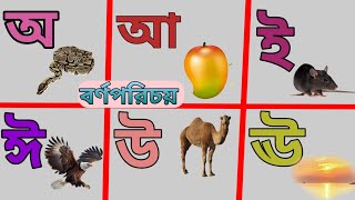 Bangla Bornomala Shikha। অ আ ক খ। বাংলা বর্ণ পরিচয়। বাংলা স্বরবর্ণ ও ব্যঞ্জনবর্ণ শিক্ষা। [upl. by Pan]