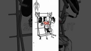 Chest Day Routine 2workout workout chest chestday chestworkout gymworkout [upl. by Airom]