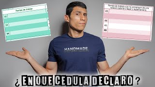 En cual cedula se declaran las rentas de trabajo YO TE LO EXPLICO [upl. by Sandry]