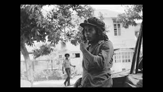 Bob Marley  Rastaman Vibration instrumental [upl. by Drofdeb111]