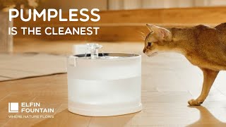 Kickstarter Elfin Fountain Revolutionary Pumpless Fountain for Pets [upl. by Eliathan]