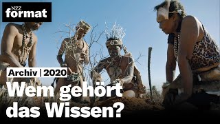 Wem gehört das Wissen Traditionelle Heilpflanzen in Südafrika 2020 [upl. by Aerbma]