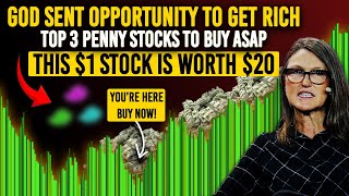 According To Billionaires Formula Top 3 Penny Stocks To Buy Now To 20x Your Wealth Next Year [upl. by Westney]