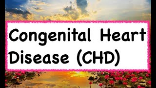 Congenital Heart Disease CHD  Hindi amp English [upl. by Beverie]