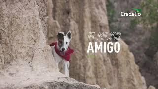 Credelio Jingle – El mejor amigo del hombre no tiene tiempo para rascarse [upl. by Lihas]