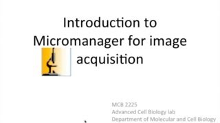 Micromanager Basics [upl. by Aros]