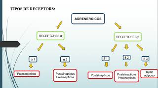 CICLO DE VIDA DE RECEPTORES FARMACOLÓGICOS [upl. by Karab]