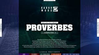 « Proverbes » LAncien Testament  La Bible Du Semeur audio VF Complète [upl. by Aillimac]