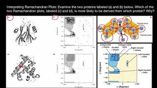 How to interpret Ramachandran Plots [upl. by Lebna103]