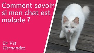 Comment savoir si mon chat est malade [upl. by Koah]