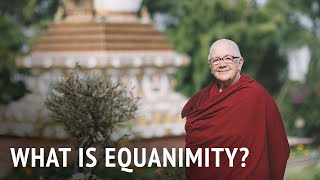 What is Equanimity  Dr Chönyi Taylor [upl. by Sarchet]