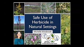 Safe Use of Herbicide in Natural Settings [upl. by Inram569]