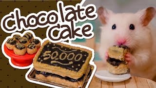 🍫 HamsterSafe Chocolate Cake  HAMSTER KITCHEN 🍫 [upl. by Elimac]