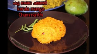 Chammanthi  പച്ചമാങ്ങാ ചമ്മന്തി  Kerala Raw Mango Chutney [upl. by Gambrill]