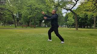 Shaolin Jin Gang Quan and Tai chi [upl. by Ellan]