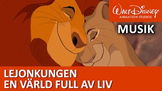 Lejonkungen En värld full av liv  Disneyklassiker Sverige [upl. by Edwina81]