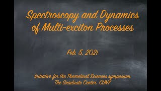 Spectroscopy and Dynamics of Multiexciton Processes [upl. by Gaylene818]