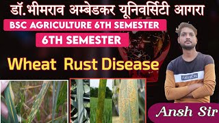 Wheat Rust Disease  Disease Of Field And Horticultural Crops And Their Management 02  rust [upl. by Nannarb]