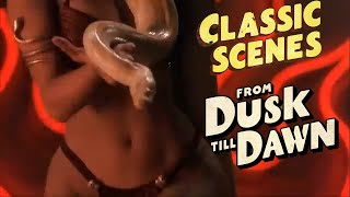 Classic Scenes From Dusk Till Dawn Salmas Dance [upl. by Anivle]