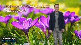 FebruarFrühling auf dem Höhepunkt Knacken wir heute den Wärmerekord Mod Dominik Jung [upl. by Tully]