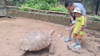 Zoobic Safari A close Encounter with the Wildlife Part 2 Nathan Jeys Adventure Ep 14 [upl. by Leiso]