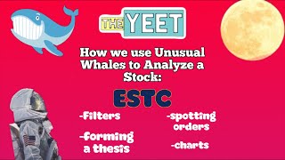 How We Analyze Stocks With Unusual Whales ESTC Read [upl. by Esiuole712]