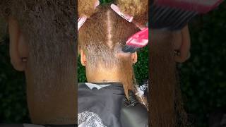 Copper hair transformation on natural ginger hair summervibes hair hairdye trending howto [upl. by Johannah]