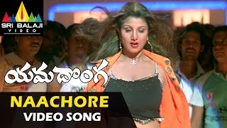 Vetagadu Movie  Aku Chaatu Pinda Thadise Video Song  Sr NTR Sridevi  Shalimarcinema [upl. by Dnalel]