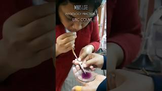 Physiology Practical WBC count neet2024 mbbsmotivation mbbs mbbslife mbbsstudent [upl. by Swen]