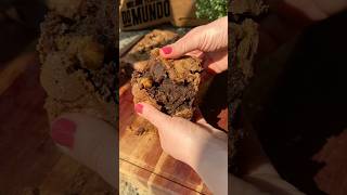 Brookie🍪🍫 brookie brownie cookie semgluten receitafacil browniefacil receitas sobremesa [upl. by Fried]