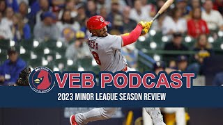 Minor League Season Review [upl. by Eyak]