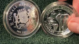 Is This A Coin The Great Somali Elephant Controversy [upl. by Ellened]