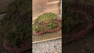 5lb Bonein Prime Rib carnivorediet [upl. by Adnalahs]