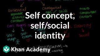 Self concept self identity and social identity  Individuals and Society  MCAT  Khan Academy [upl. by Notneiuq]