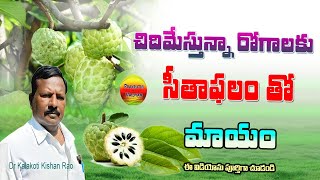 చిదిమేస్తున్న రోగాలుసీతాఫలంతో మాయంSurprising Benefits of Cherimoya Custard AppleIn Telugu [upl. by Rambort]