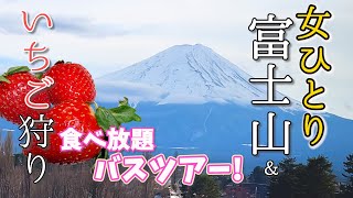 【女ひとり日帰りバスツアー】いちご狩り食べ放題ツアーに今年も参加！大好きな富士山も見れて大満足！フルーツ王国山梨に魅了される [upl. by Ainerbas]