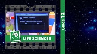 RNA amp Protein Synthesis [upl. by Adnav]