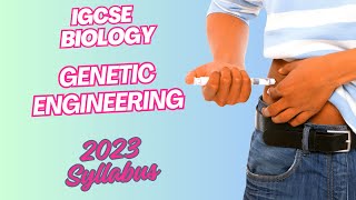 IGCSE biology 2024 Genetic Engineering [upl. by Ahsiliw]