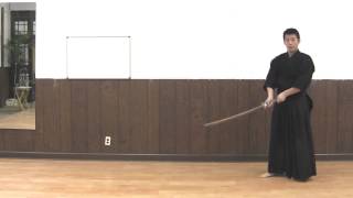 Practice Kendo At Home [upl. by Aufa]