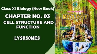 Ch 3 Cell Structure and function  Lysosomes  Class 11 biology new book  Sindh board [upl. by Aiksas]